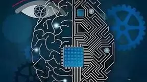 最新研究：非侵入性脑机接口技术助力瘫痪者操作思维控制轮椅