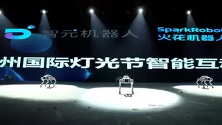 机器狗集群表演震撼登场 科技艺术融合新范式