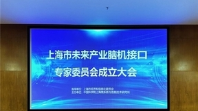 驱动产业创新升级 上海市未来产业脑机接口专家委员会成立