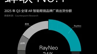 雷鸟创新蝉联全球AR智能眼镜市场份额第一，实现国内外双冠王