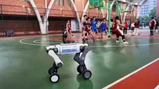 人形机器人成校园明星，AI教育融合开启智慧校园新体验