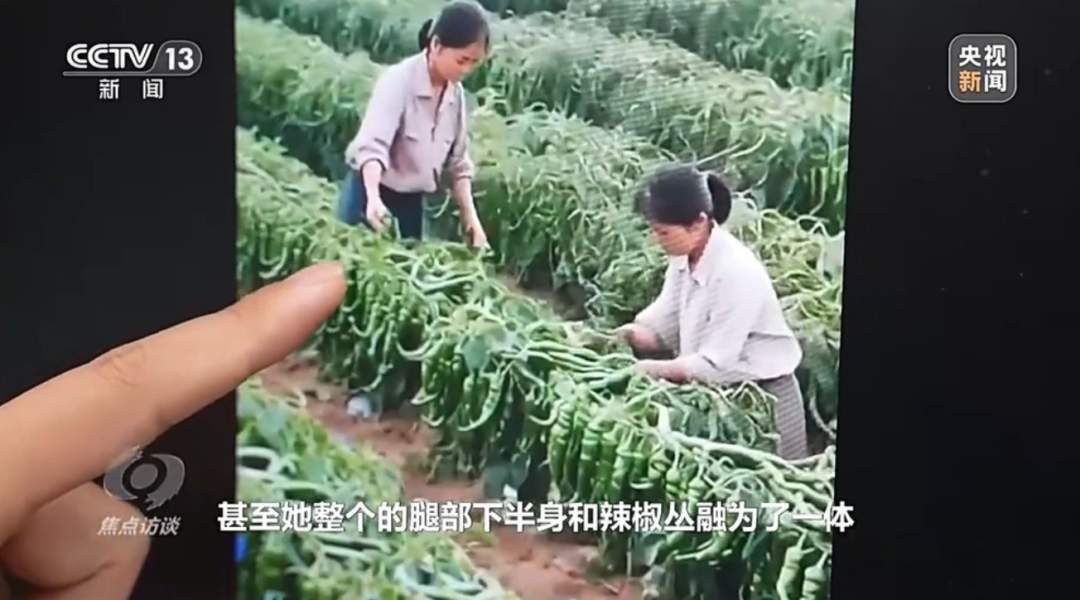 78fdaca3j00t41xnr00n6d000u000gom 央视揭秘网络直播间 AI 虚假带货