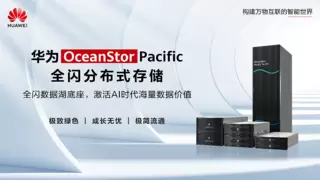 华为携手景联文科技发布AI数据湖联合解决方案