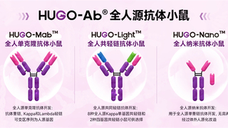 抗体药物开发新突破：智能计算平台助力研发提速增效