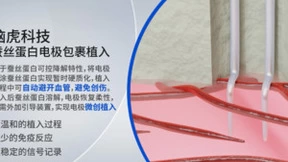 蚕丝蛋白柔性电极突破脑机接口技术瓶颈，实现长期稳定脑电信号采集