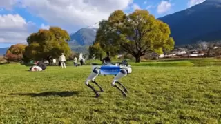 远程遥操机器人+VR技术开启沉浸式文旅新体验