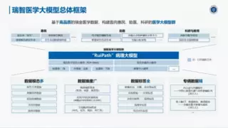 瑞金医院联合华为发布病理大模型，AI医疗应用迎来新突破
