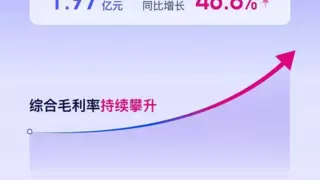 优刻得2025上半年财报营收利润双增长 AI业务占比超三成