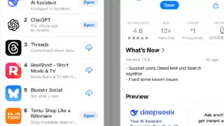 中国AI初创公司DeepSeek震撼硅谷 成本低廉性能媲美国际顶尖水平