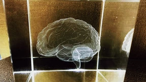 脑机接口技术迎来发展拐点 商业化进程稳步推进