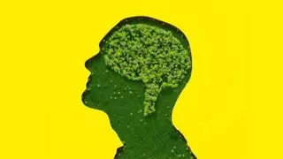 AI能耗危机：人工智能如何实现绿色可持续发展