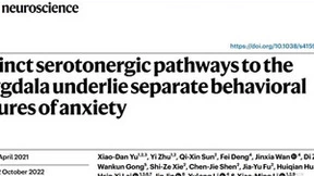 民企世纪华通脑科学研究获突破 成果再登顶级期刊