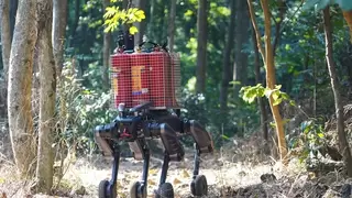 拓斯达发布四足机器狗星仔 全地形作业拓展具身智能应用场景