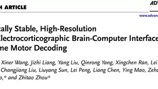中国科学家突破脑机接口技术瓶颈 实现高通量柔性植入系统