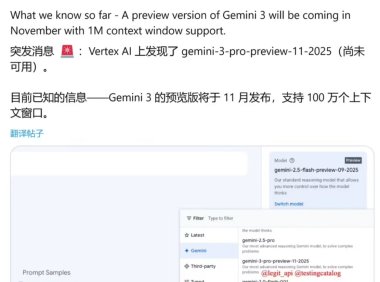 谷歌Gemini 3 Pro预览版曝光：百万Token上下文窗口，AI交互迎变革