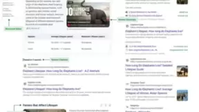 必应推出AI搜索新体验：人工智能答案优先展示