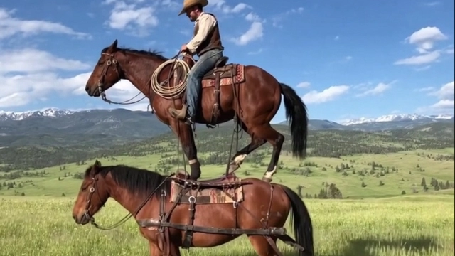 OpenAI发布Sora新版本：iPhone视频应用重新定义AI创作体验