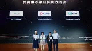 国产AI生态协同发展典范