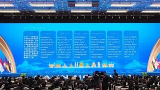 AI赋能东南亚合作 新生态亮相东博会
