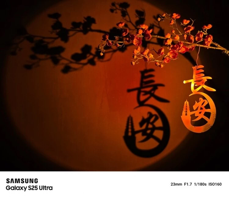 文章详情图片
