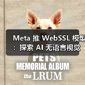 Meta发布WebSSL视觉自监督模型 探索纯图像训练效果