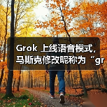 Grok语音模式上线，语音交互功能升级