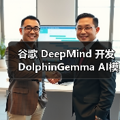 谷歌 DeepMind 开发 DolphinGemma AI模型，助力海豚“语言”研究（图1）