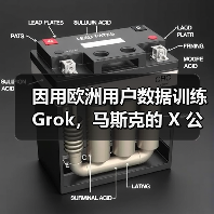 因用欧洲用户数据训练 Grok，马斯克的 X 公司遭爱尔兰调查（图4）