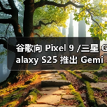 谷歌向 Pixel 9 /三星 Galaxy S25 推出 Gemini Live AI“实时拍摄”及识图导购助手功能（图2）