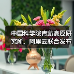 中国科学院青藏高原研究所、阿里云联合发布水能粮多模态推理大模型“洛书”（图3）