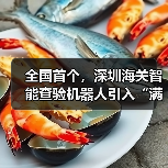 全国首个，深圳海关智能查验机器人引入“满血版”DeepSeek-R1（图3）