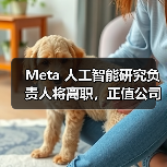Meta 人工智能研究负责人将离职，正值公司加大 AI 投入之际（图1）