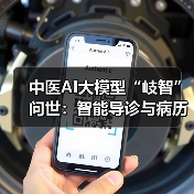 中医AI大模型“岐智”问世:智能导诊与病历生成如何革新诊疗?(图4) 中医AI大模型“岐智”问世:智能导诊与病历生成如何革新诊疗?(图4)