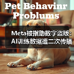 Meta被指助数字盗版:AI训练数据遭二次传播引版权风暴(图2) Meta被指助数字盗版:AI训练数据遭二次传播引版权风暴(图2)