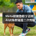 Meta被指助数字盗版:AI训练数据遭二次传播引版权风暴(图4) Meta被指助数字盗版:AI训练数据遭二次传播引版权风暴(图4)