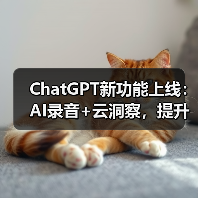 ChatGPT新功能上线:AI录音+云洞察,提升团队协作效率(图2) ChatGPT新功能上线:AI录音+云洞察,提升团队协作效率(图2)