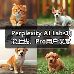 Perplexity AI Labs功能上线,Pro用户深度搜索与代码图像生成全攻略(图4) Perplexity AI Labs功能上线,Pro用户深度搜索与代码图像生成全攻略(图4)