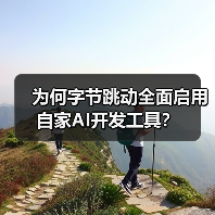 为何字节跳动全面启用自家AI开发工具?(图2) 为何字节跳动全面启用自家AI开发工具?(图2)