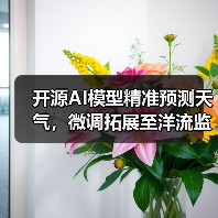 开源AI模型精准预测天气，微调拓展至洋流监测（图1）