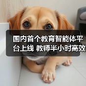 国内首个教育智能体平台上线 教师半小时高效创建教学工具（图1）