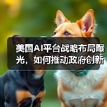 美国AI平台战略布局曝光，如何推动政府创新？