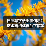 日照写字楼出租信息？这些真相你真的了解吗？（图3）