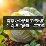 南京办公楼写字楼出租?别被“便宜”二字骗了(图3) 南京办公楼写字楼出租?别被“便宜”二字骗了(图3)