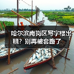 哈尔滨南岗区写字楼出租?别再被套路了(图3) 哈尔滨南岗区写字楼出租?别再被套路了(图3)