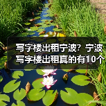 写字楼出租宁波?宁波写字楼出租真的有10个理由值得你考虑(图4) 写字楼出租宁波?宁波写字楼出租真的有10个理由值得你考虑(图4)