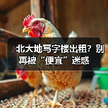 北大地写字楼出租?别再被“便宜”迷惑(图1) 北大地写字楼出租?别再被“便宜”迷惑(图1)