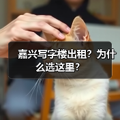 嘉兴写字楼出租?为什么选这里?(图1) 嘉兴写字楼出租?为什么选这里?(图1)